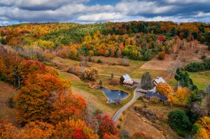 fall foliage New England