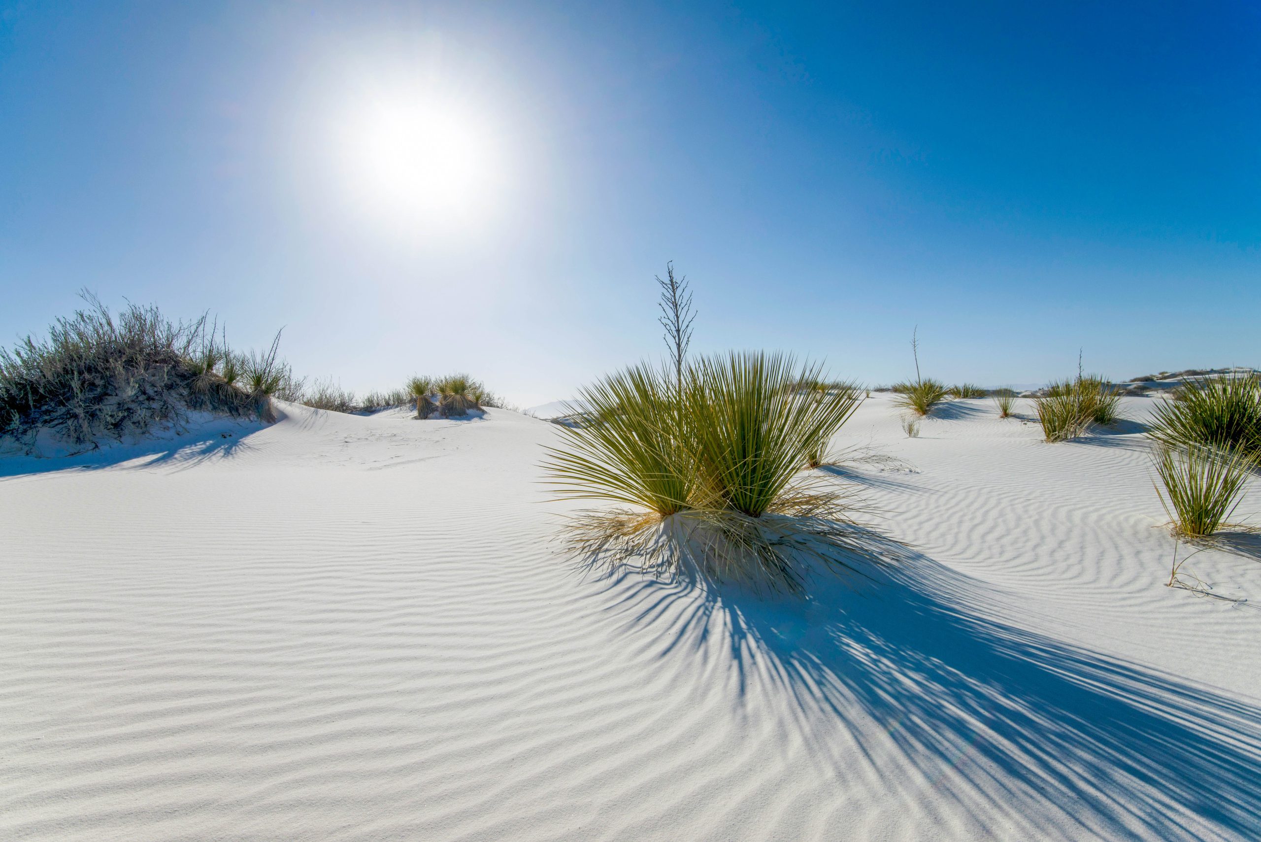 USA New Mexico White Sands unsplash