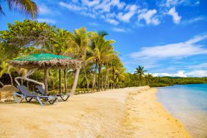 Honduras Roatan unsplash