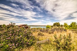 Idyllic Dolores Cabin with Fire Pit and Lake Views!