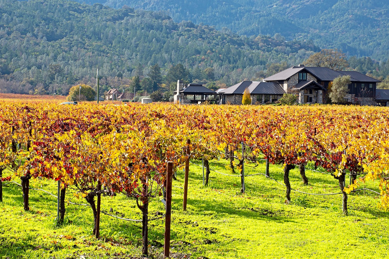 USA California Napa Valley pixabay