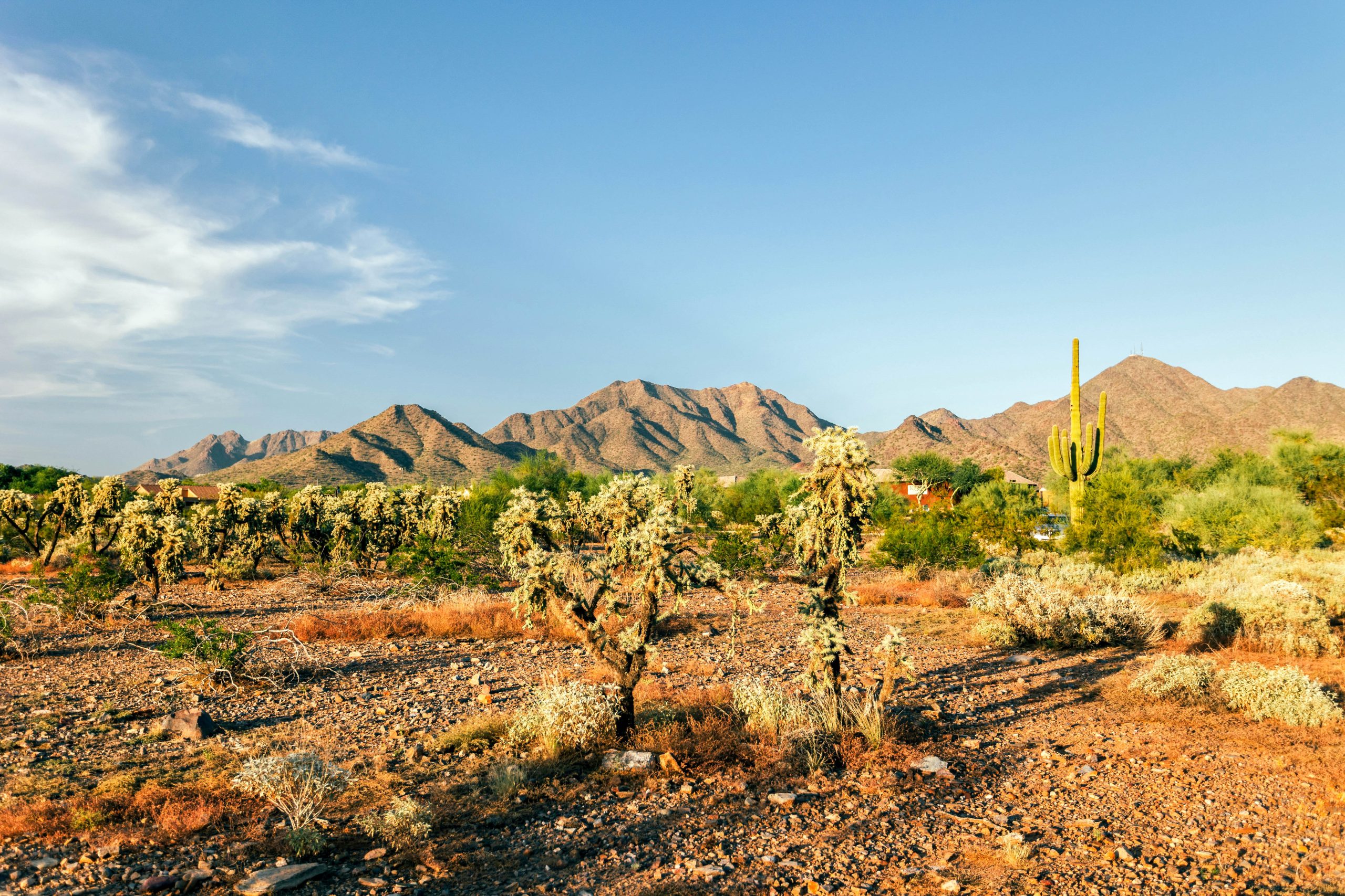 USA Arizona Scottsdale unsplash