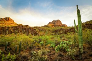 USA Arizona Tucson unsplash