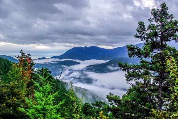 USA Olympic National Park unsplash